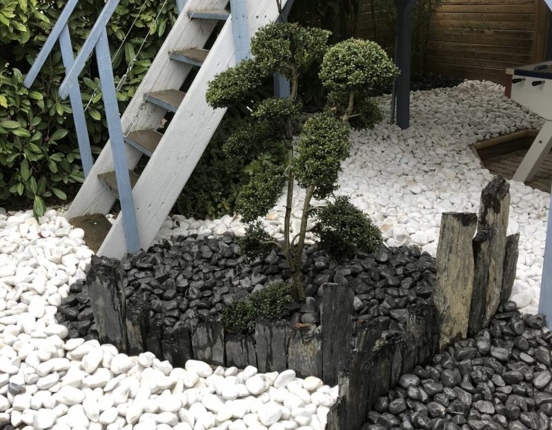 -7_20211004_1674798107