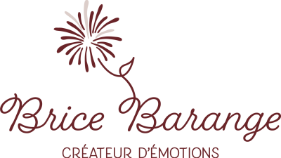 cropped-BRICE-BARANGE-•-Elements-graphiques-01.png